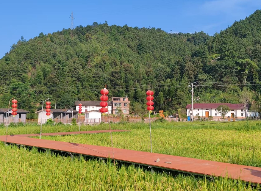 炸金花