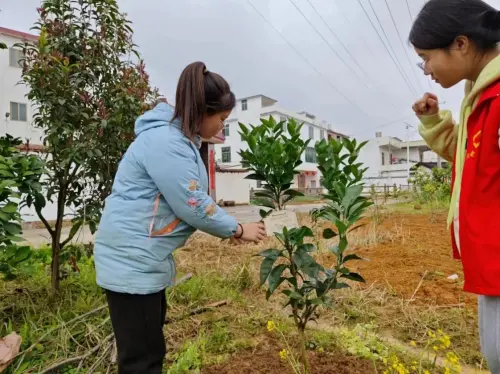 炸金花